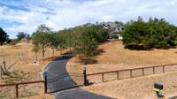 DJI_0352