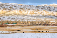 The Way to Butte