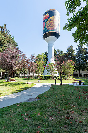 K1002108-HDR